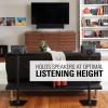 imageSANUS Wireless Sonos Speaker Stand for Sonos One Play1 ampamp Play3  AudioEnhancing Design with Builtin Cable Management  Pair Black  WSS22B1Black
